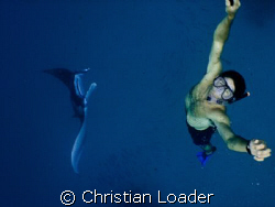 My friend Tim with a Manta that was feeding while 'barrel... by Christian Loader 